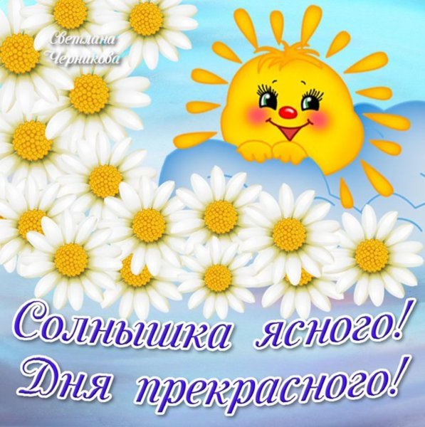 Прекрасного солнечного дня
