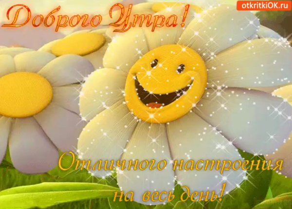 Хорошего осеннего денечка и отличного настроения