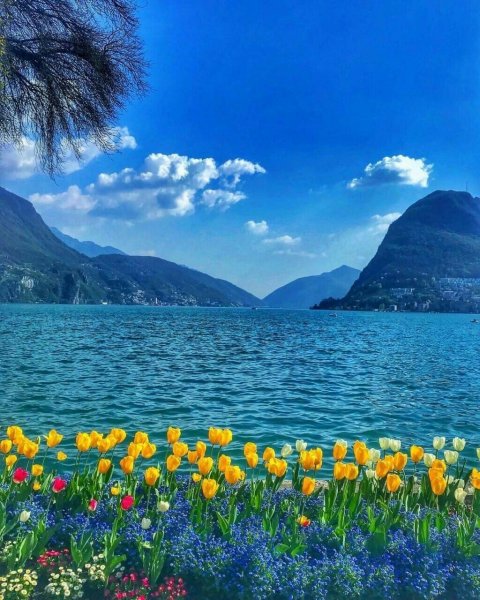 Успокаивающий пейзаж