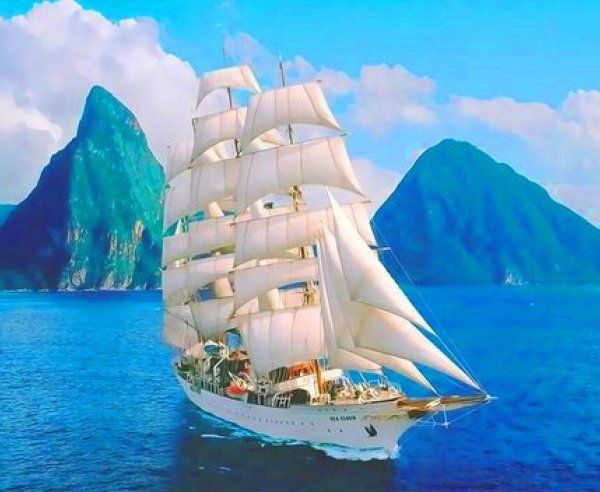 Море горы цветы