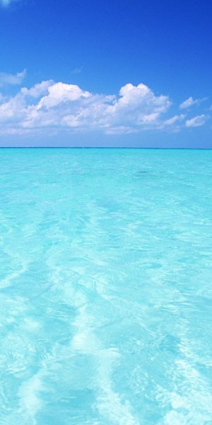 Океан и скалы