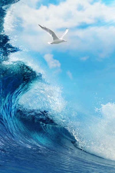 Пляж вертикальные