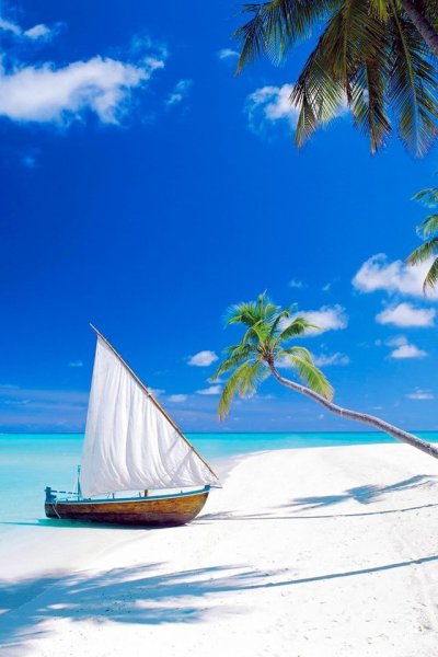 Сансет Бич закат