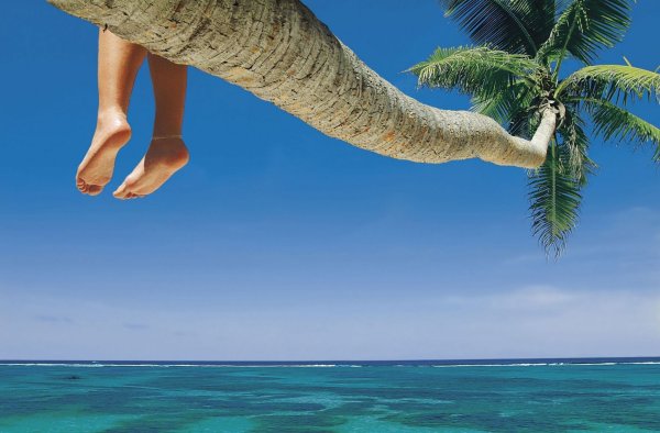 Лето отпуск