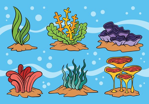 Морские водоросли мультяшные