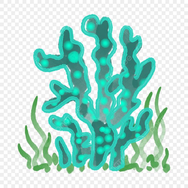 Водоросли для детей