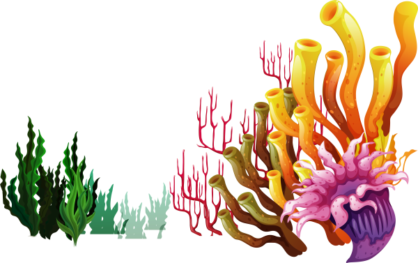 Кораллы для детей