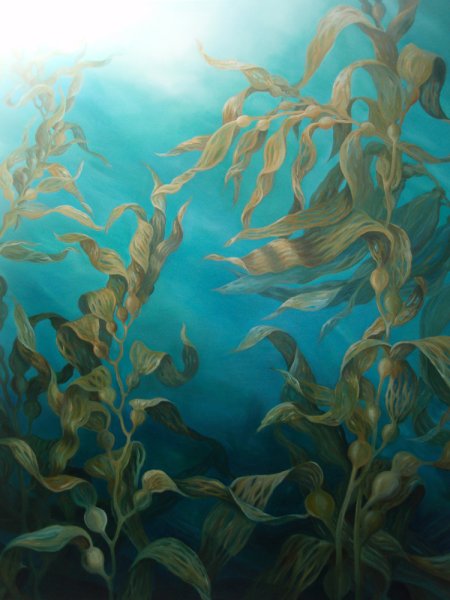 Ламинария Северная глубина