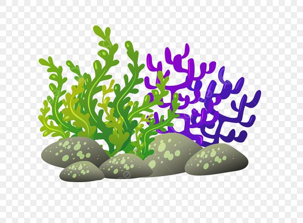 Камешки с водорослями для детей