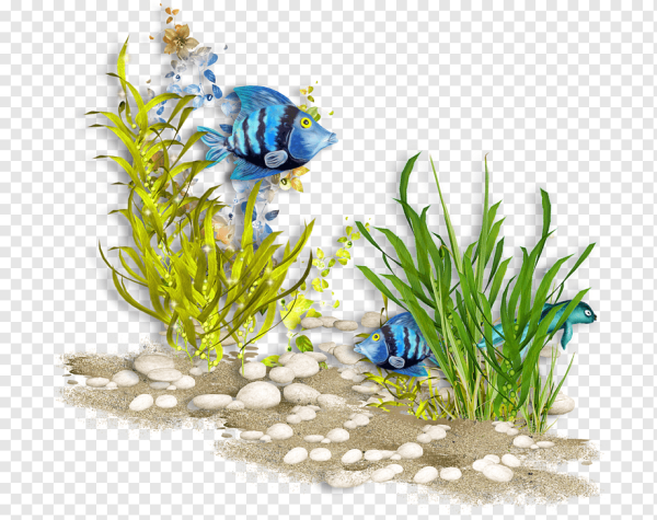 Подводный мир на белом фоне