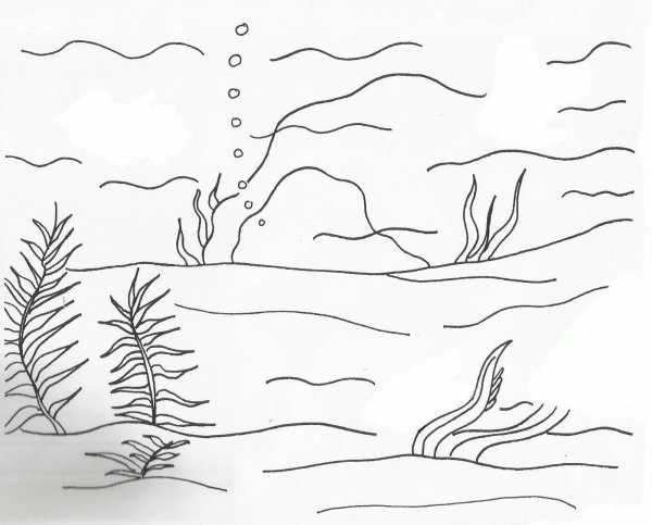 Морское дно раскраска для малышей