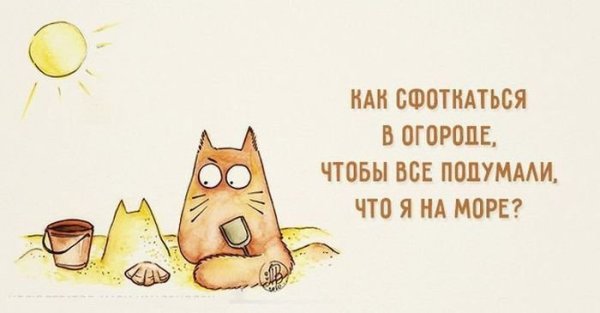 Фразы про море прикольные