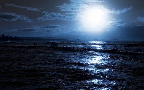 Лунная ночь