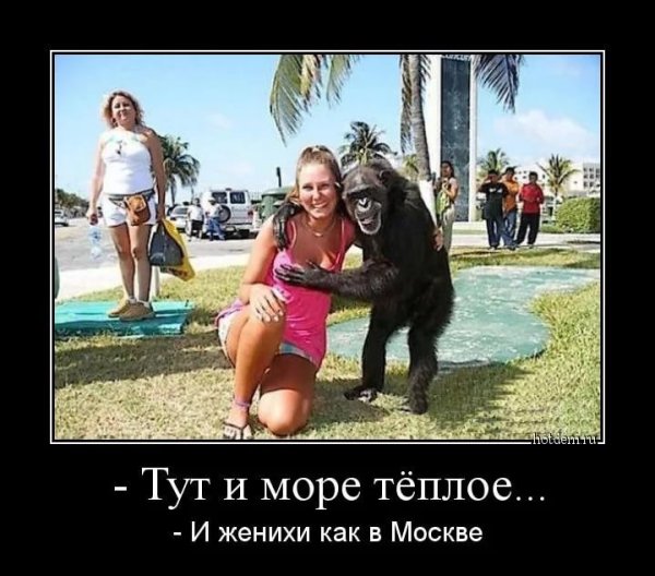 Чистая как море грустная как небо засыпая утром