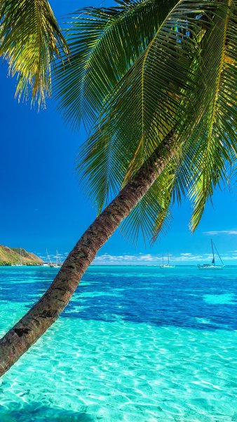 Тропический пляж