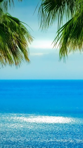 Пляж вертикально