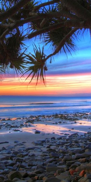 Лето пальмы пляж