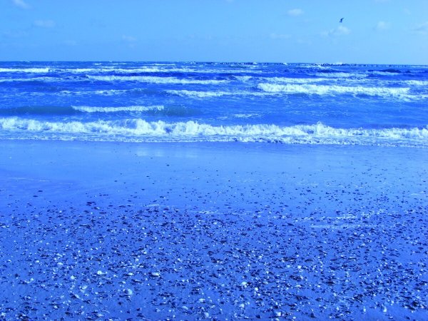 Море, волны