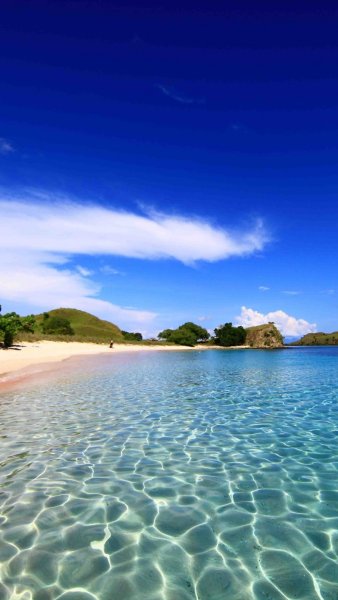 Тропическое море