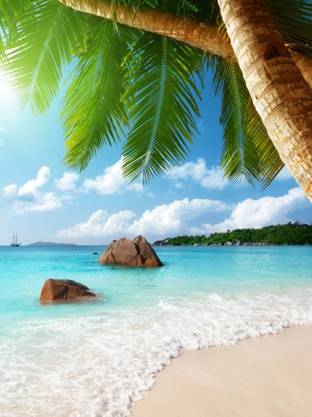 Летний фон пляж