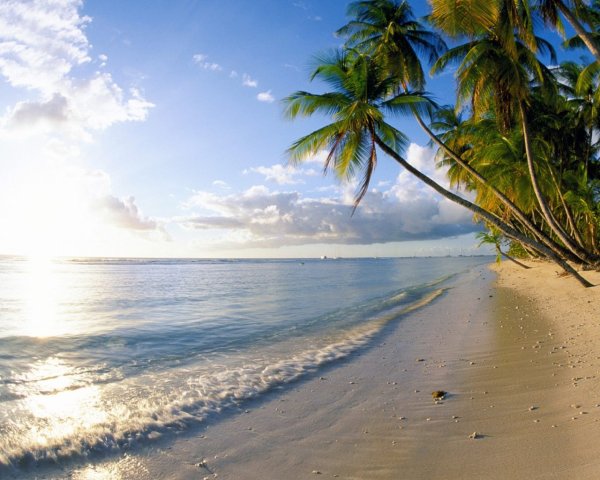 Море солнце