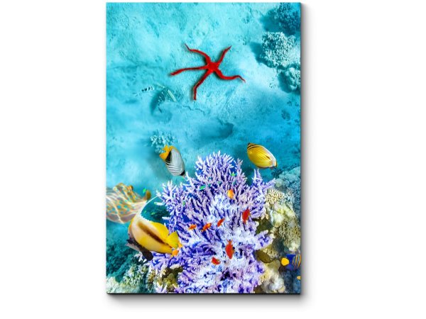 Розовый закат на море