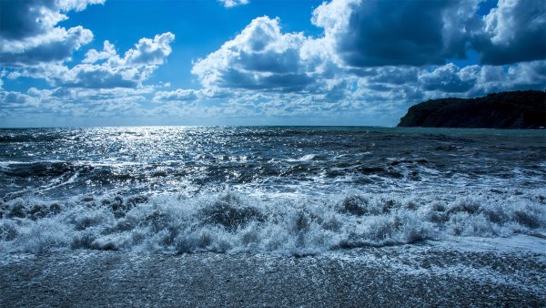 Природа России море