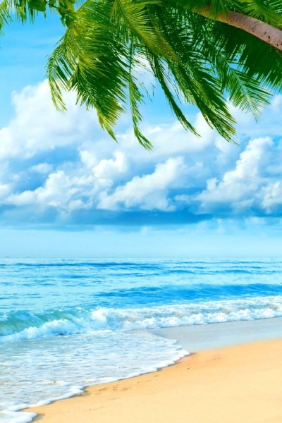 Море пальмы и песок