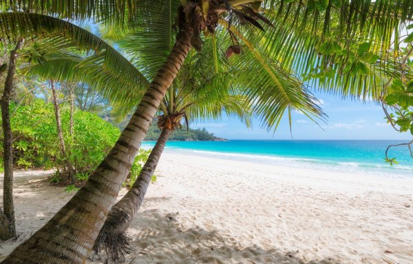 Тропический пляж