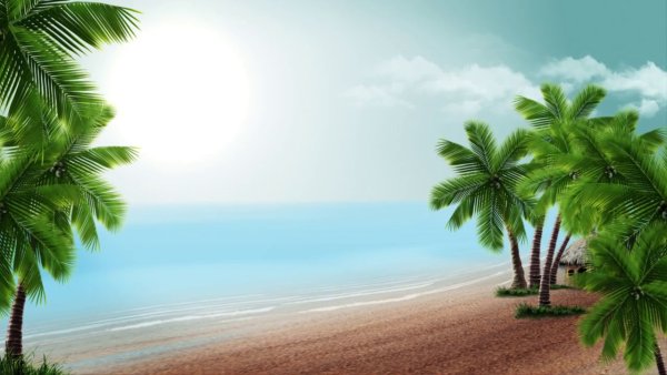 Море пальмы