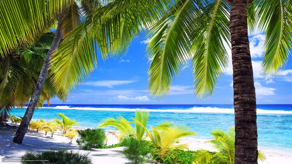 Парадиз остров Карибского моря