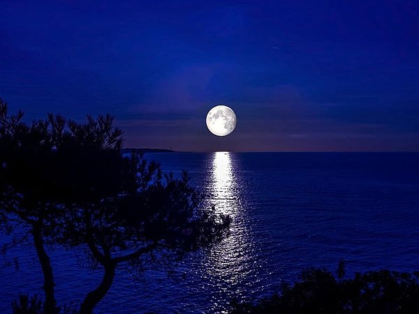Синяя Луна