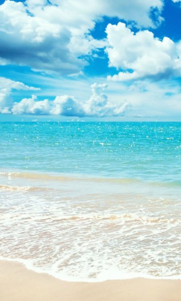 Весы CENTEK CT-2419