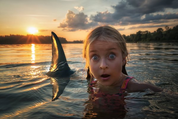 John Wilhelm фотограф