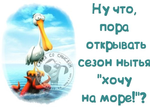 Смешные статусы про море