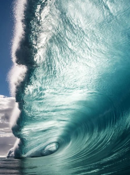 Обои на андроид пальмы и море