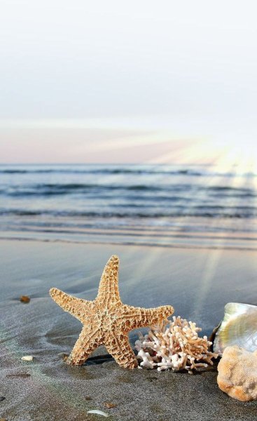 Океан вертикальная