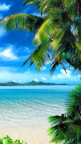 Тропический остров