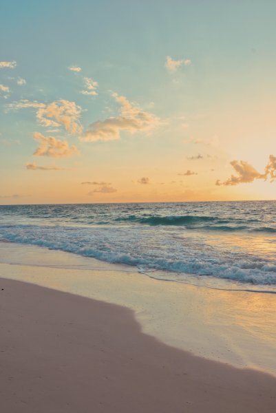 Море пальмы