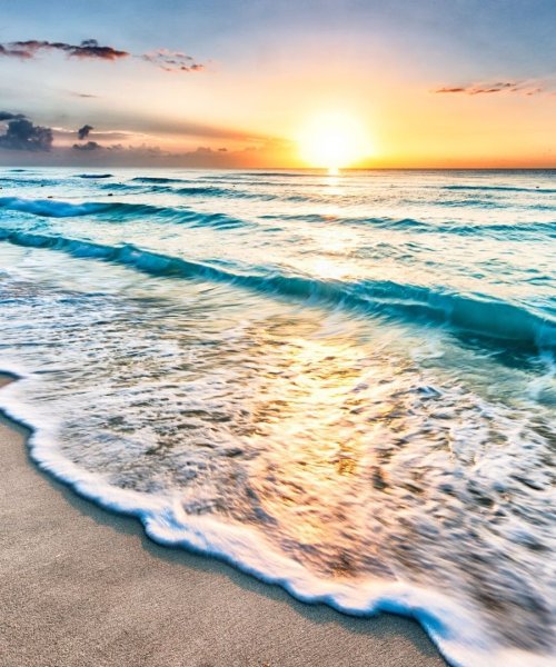 Море пальмы