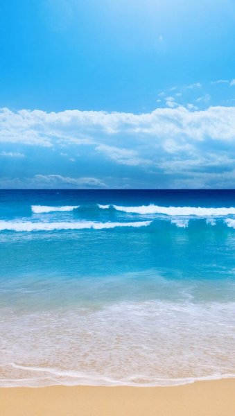 Фон пляж пальмы