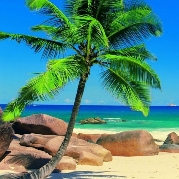 Райский уголок