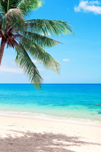 Пунта Кана океан Пальма