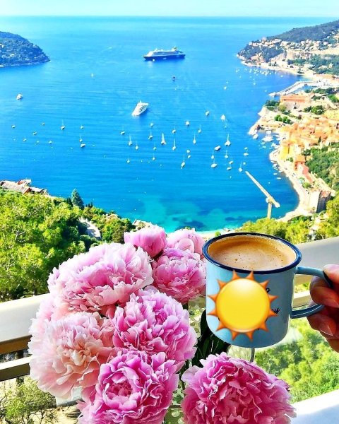 Доброго понедельника море