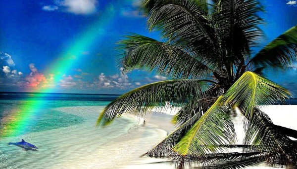 Лето остров