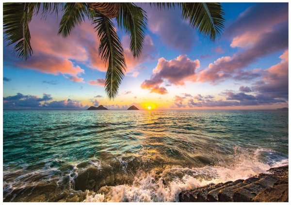 Обои на рабочий стол 1920х1080 море пляж пальмы