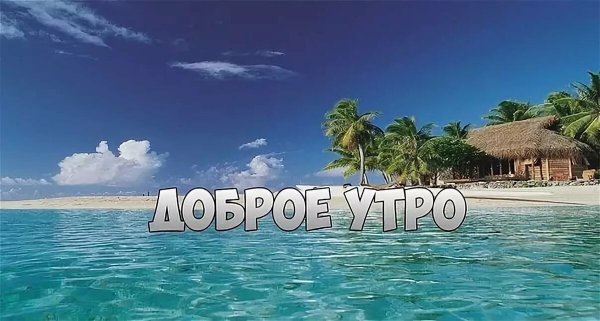 Доброго дня и хорошего настроения море