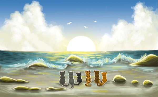 Нарисовать берег