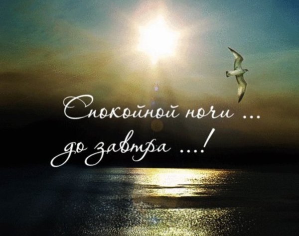 Спокойной ночтмужчине