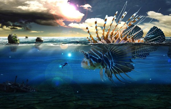 Морской мир